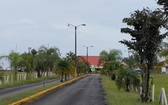 Limon LIO
