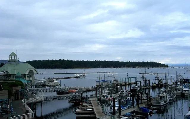 Nanaimo ZNA
