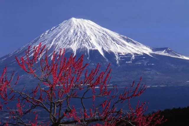 Shizuoka