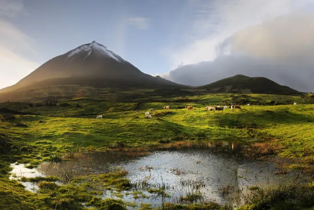 Pico Island
